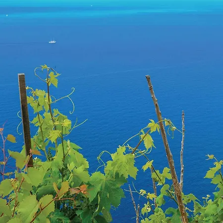 Lägenhet Two-bedroom In